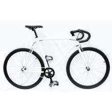 Hi-Tensile Steel Fix Gear Bike Bicycle